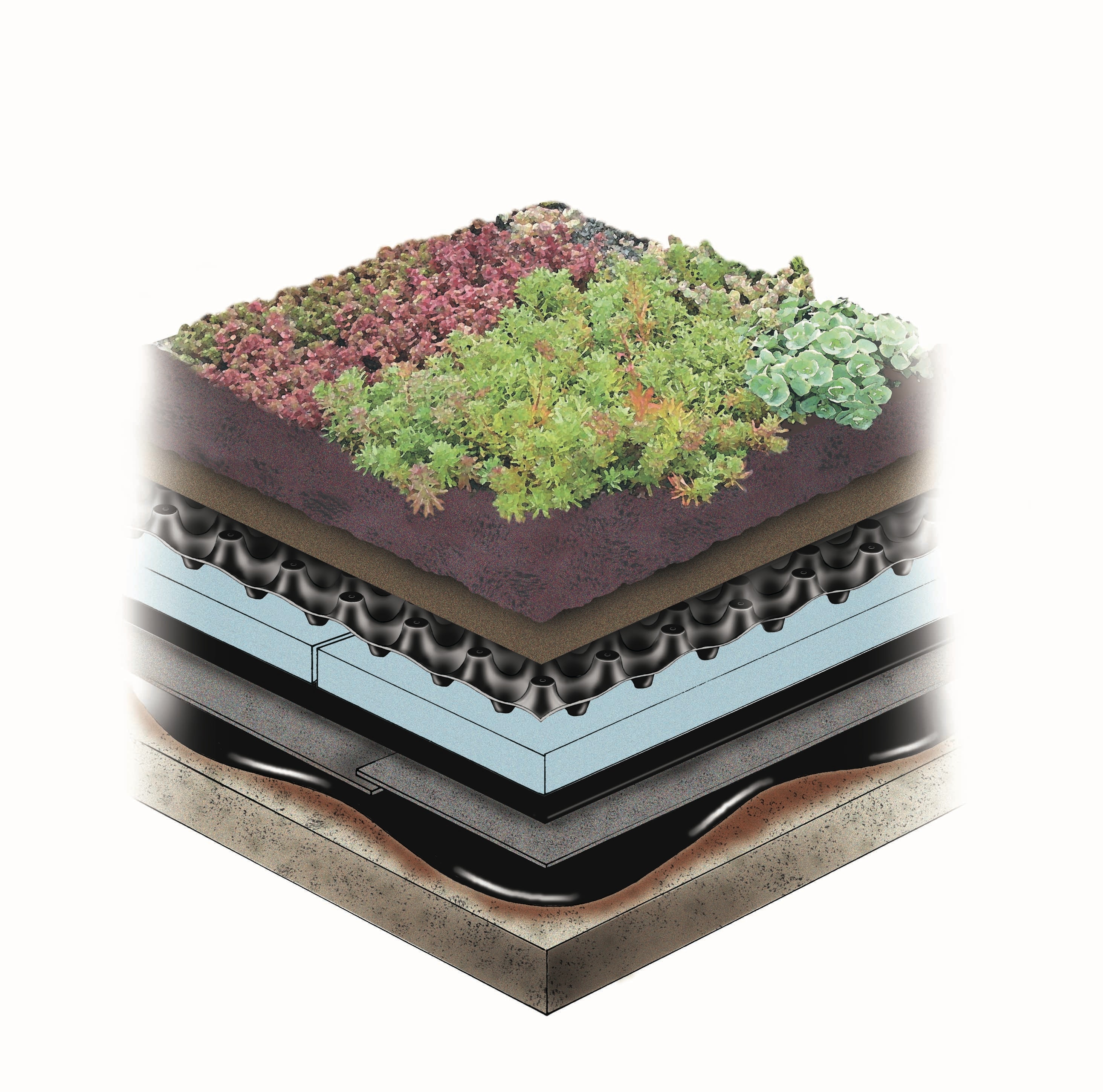 Picture of Green Roof | Stormwater Solutions